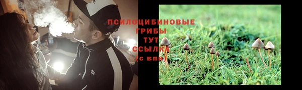 соль ск Шарыпово
