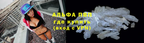 ECSTASY Шали