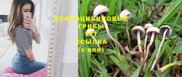 соль ск Шарыпово