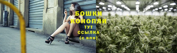 ECSTASY Шали
