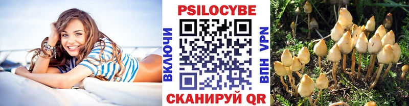 Псилоцибиновые грибы ЛСД  mega сайт  Пойковский 